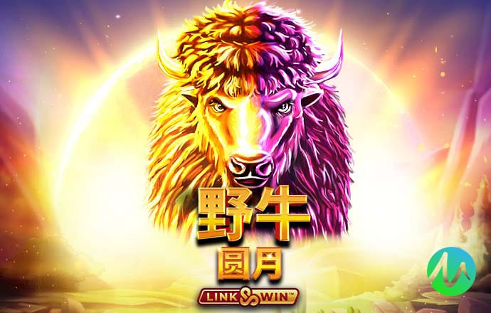 2024新澳门原料网站
